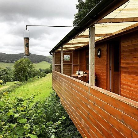 Cabin Pren , Darowen , Machynlleth Apartamento Exterior foto