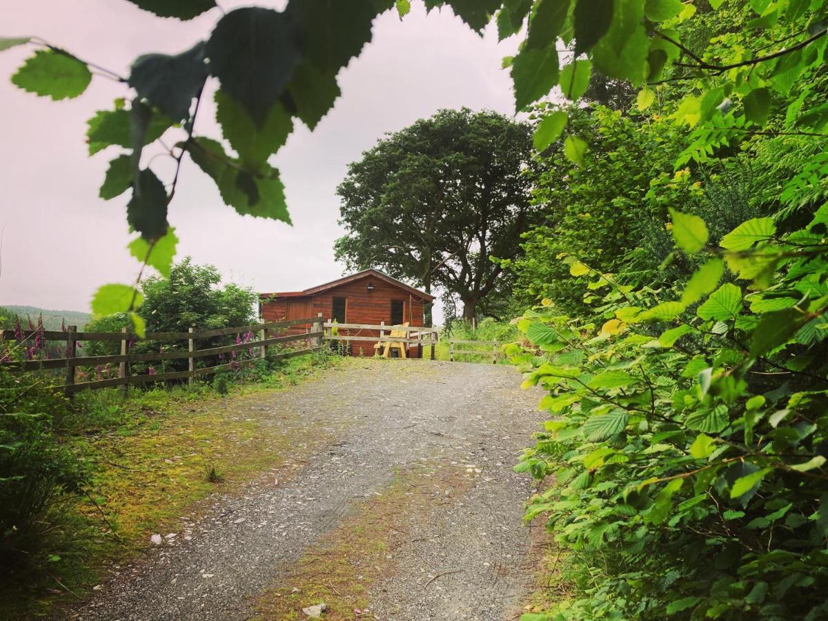 Cabin Pren , Darowen , Machynlleth Apartamento Exterior foto